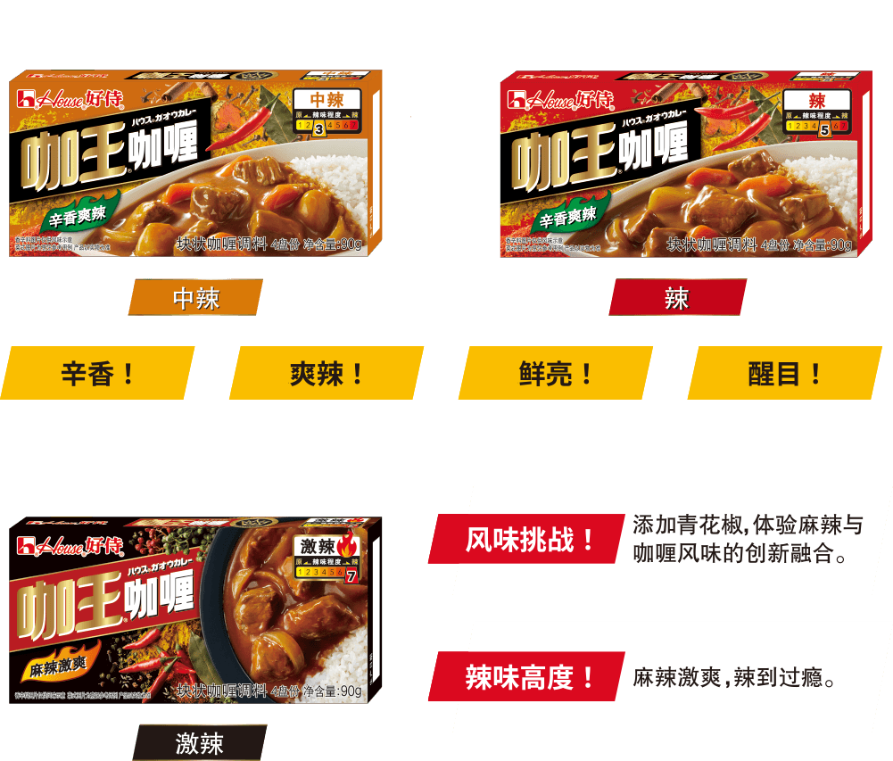 好侍食品_咖王咖喱品种