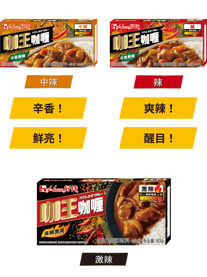 好侍食品_咖王咖喱品种